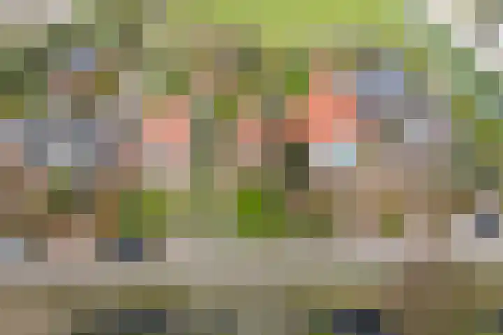 Laanweg 34 Oudkarspel thumbnail 44