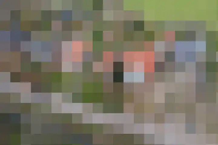 Laanweg 34 Oudkarspel thumbnail 45