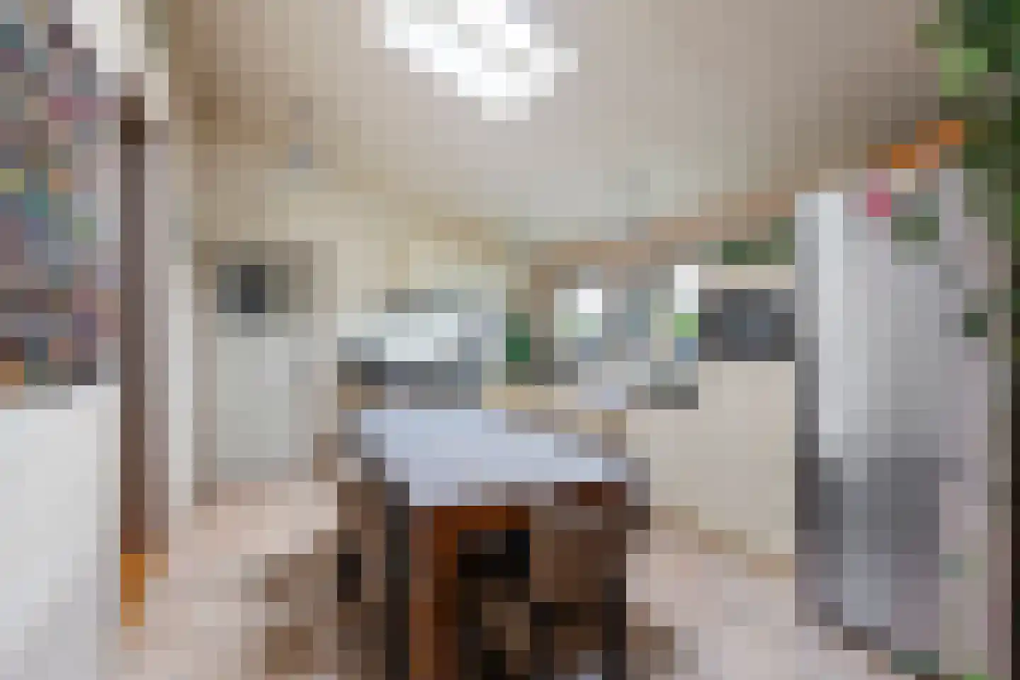 Laanweg 6 Zuidschermer thumbnail 11