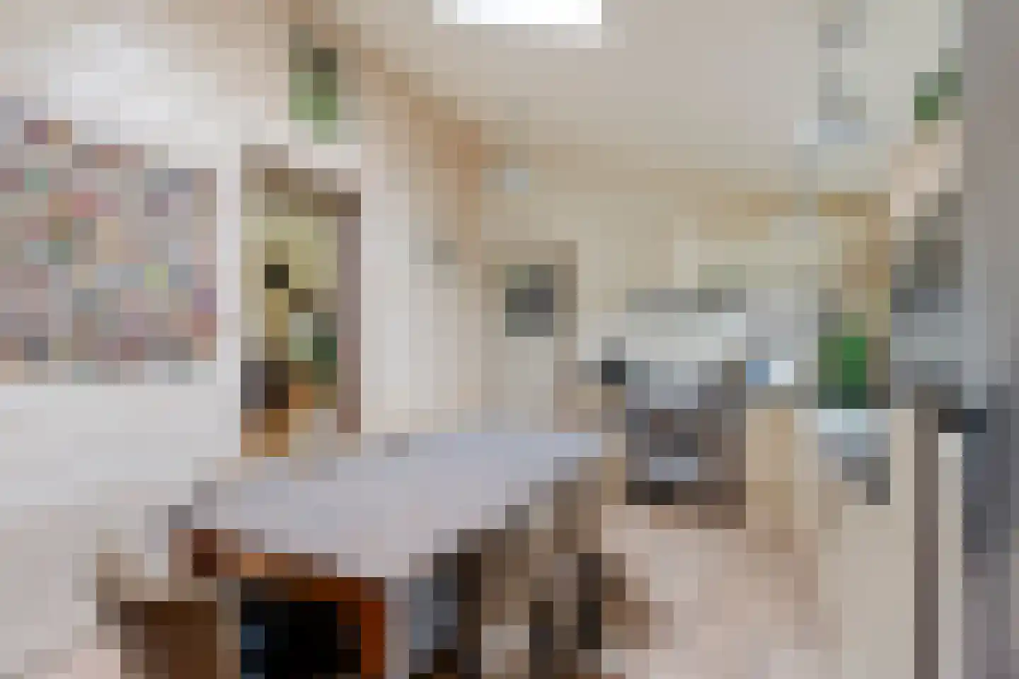 Laanweg 6 Zuidschermer thumbnail 12