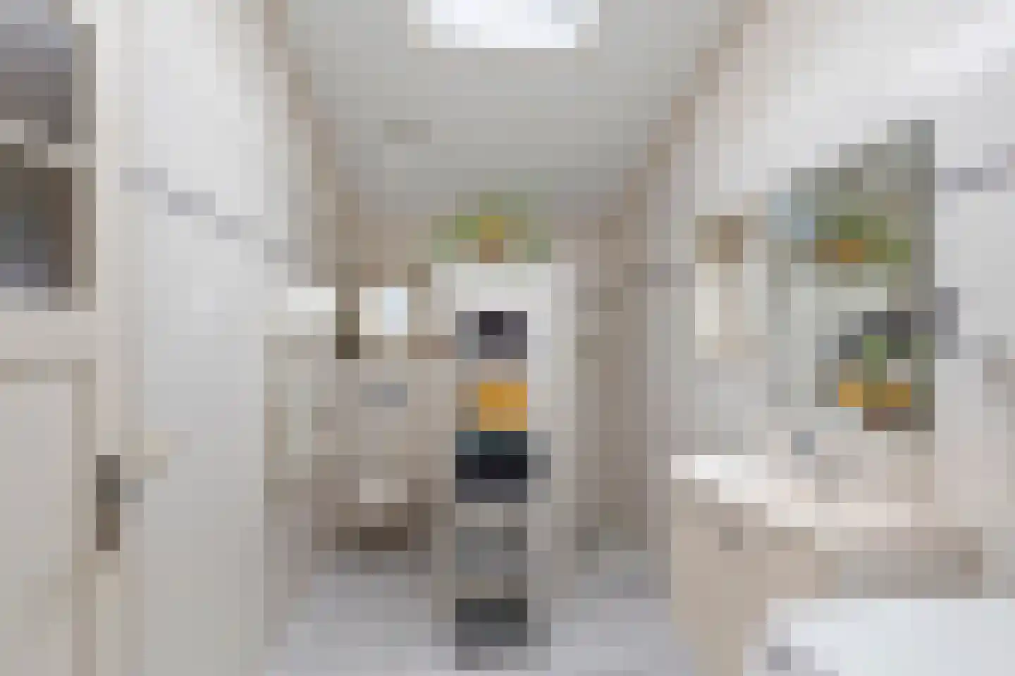 Laanweg 6 Zuidschermer thumbnail 14