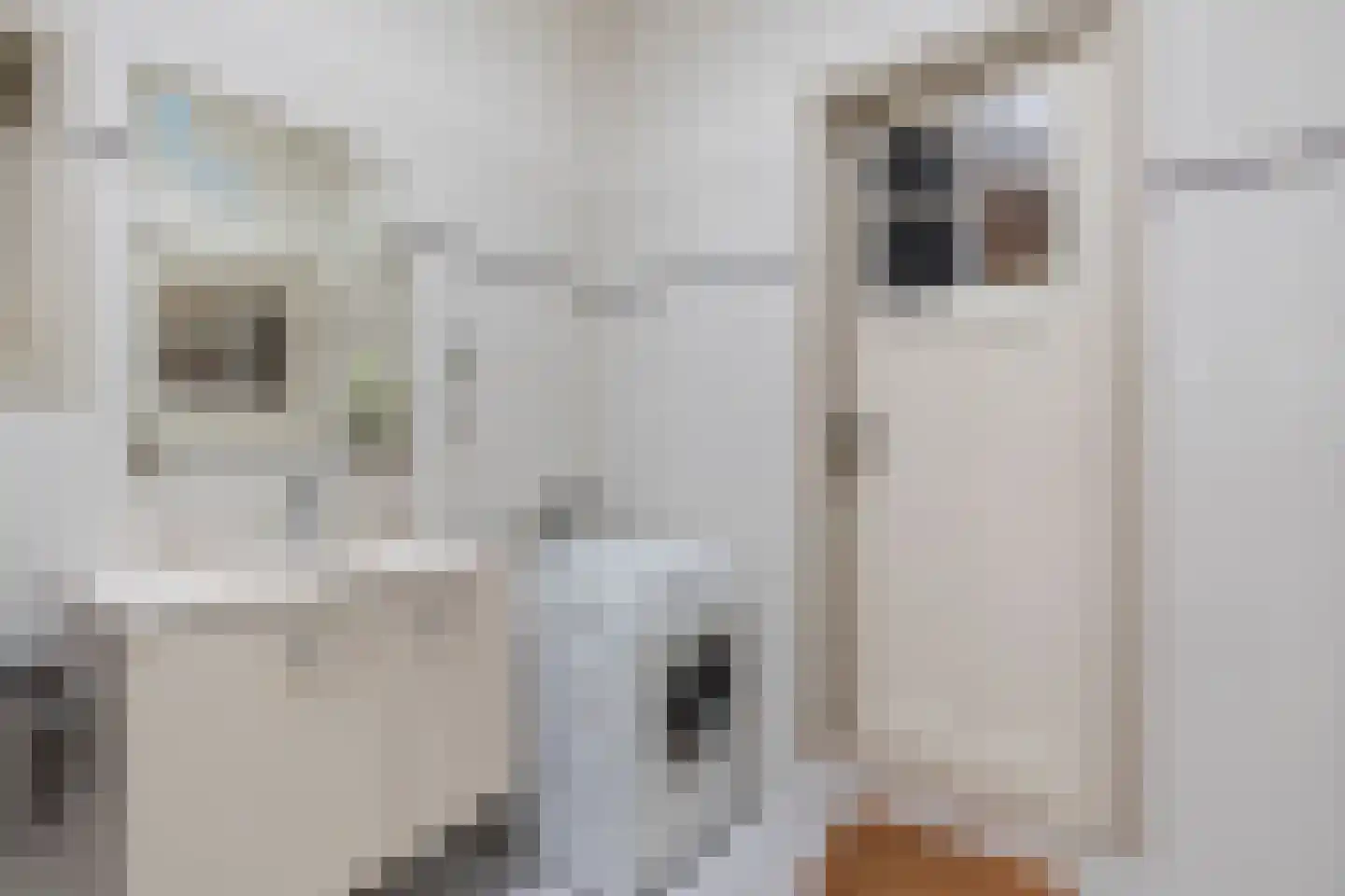 Laanweg 6 Zuidschermer thumbnail 15