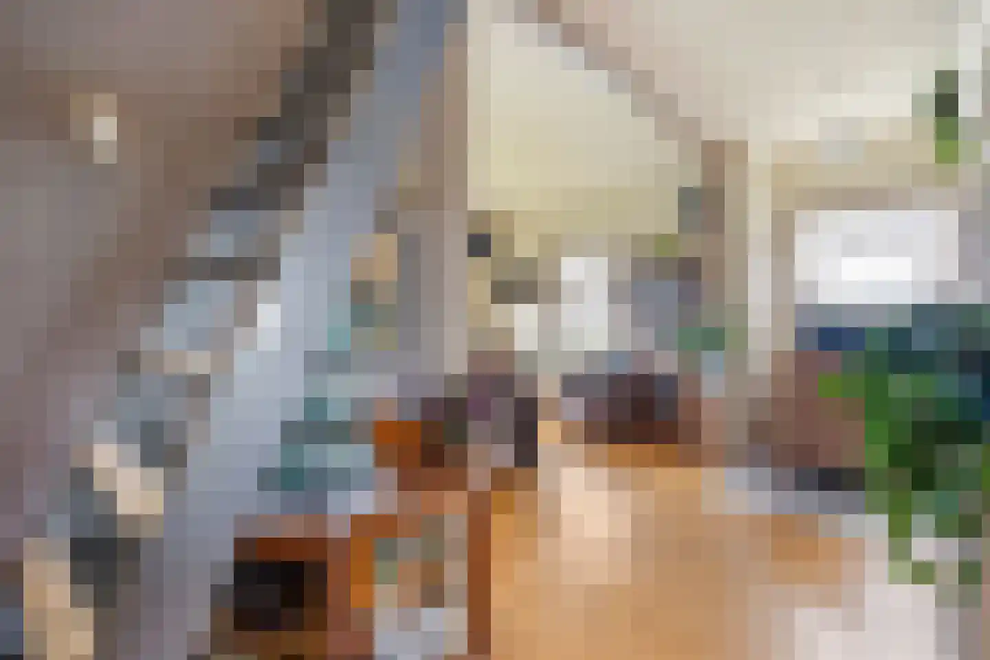 Laanweg 6 Zuidschermer thumbnail 19
