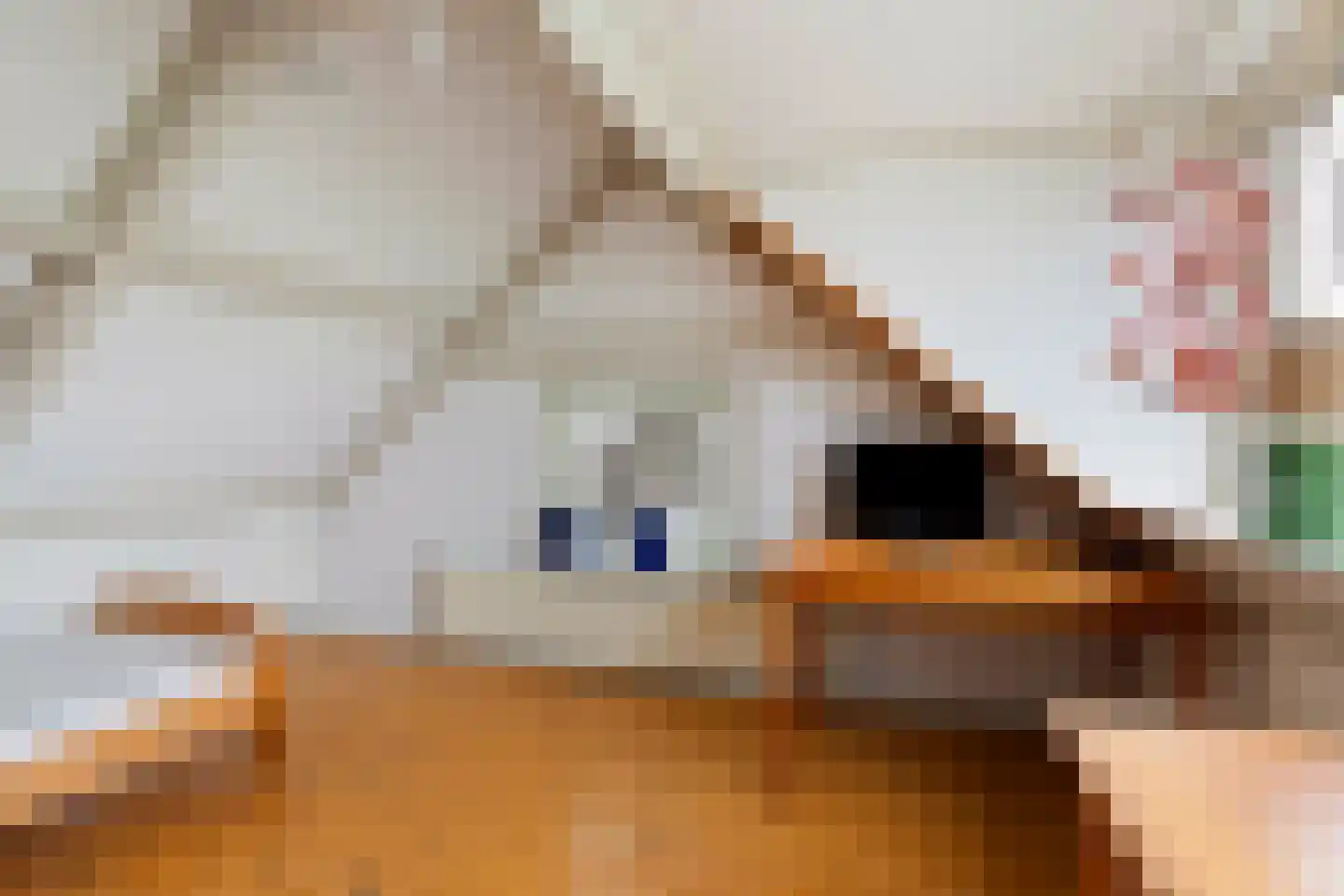 Laanweg 6 Zuidschermer thumbnail 23