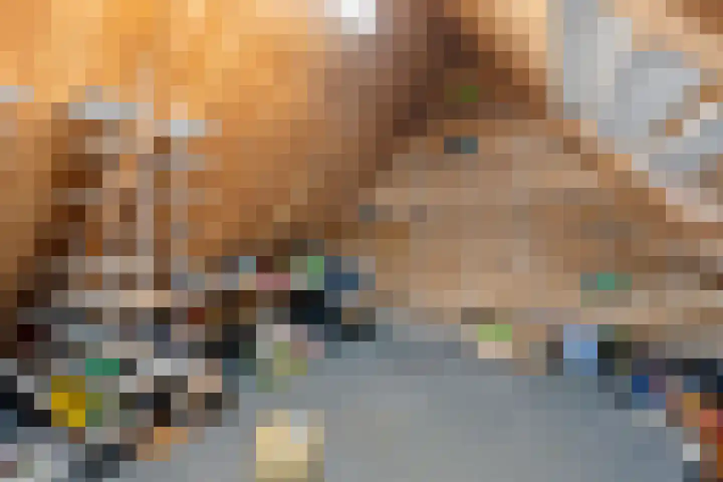Laanweg 6 Zuidschermer thumbnail 33