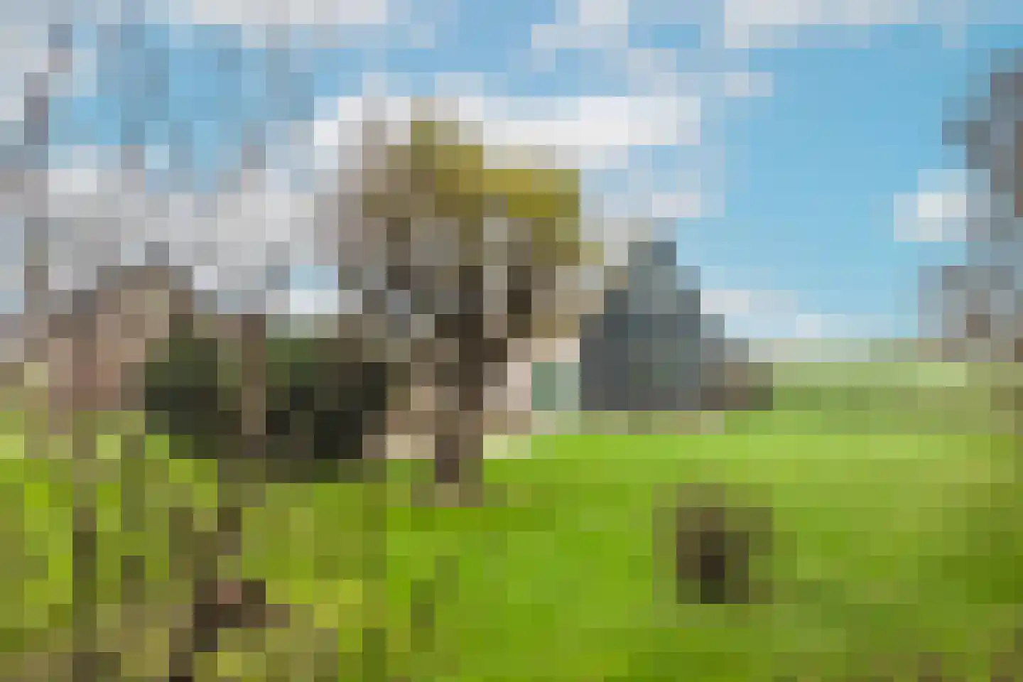 Laanweg 6 Zuidschermer thumbnail 34