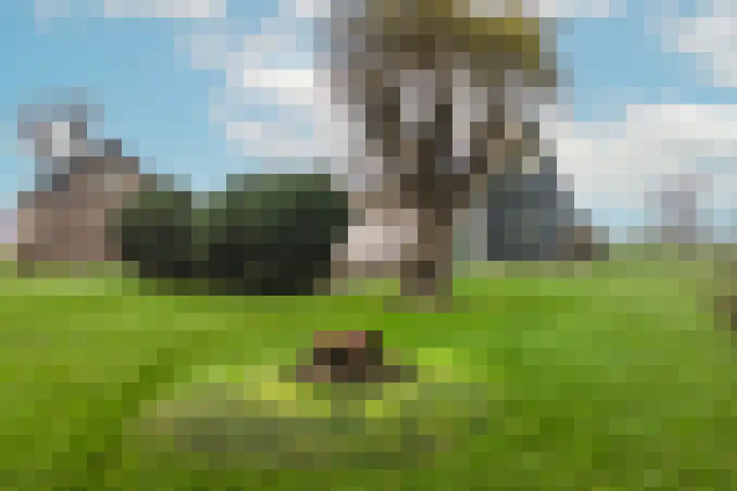 Laanweg 6 Zuidschermer thumbnail 38