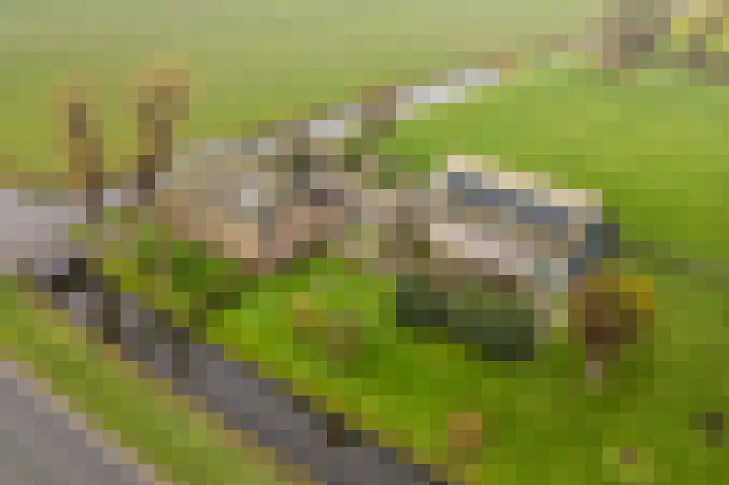 Laanweg 6 Zuidschermer thumbnail 42