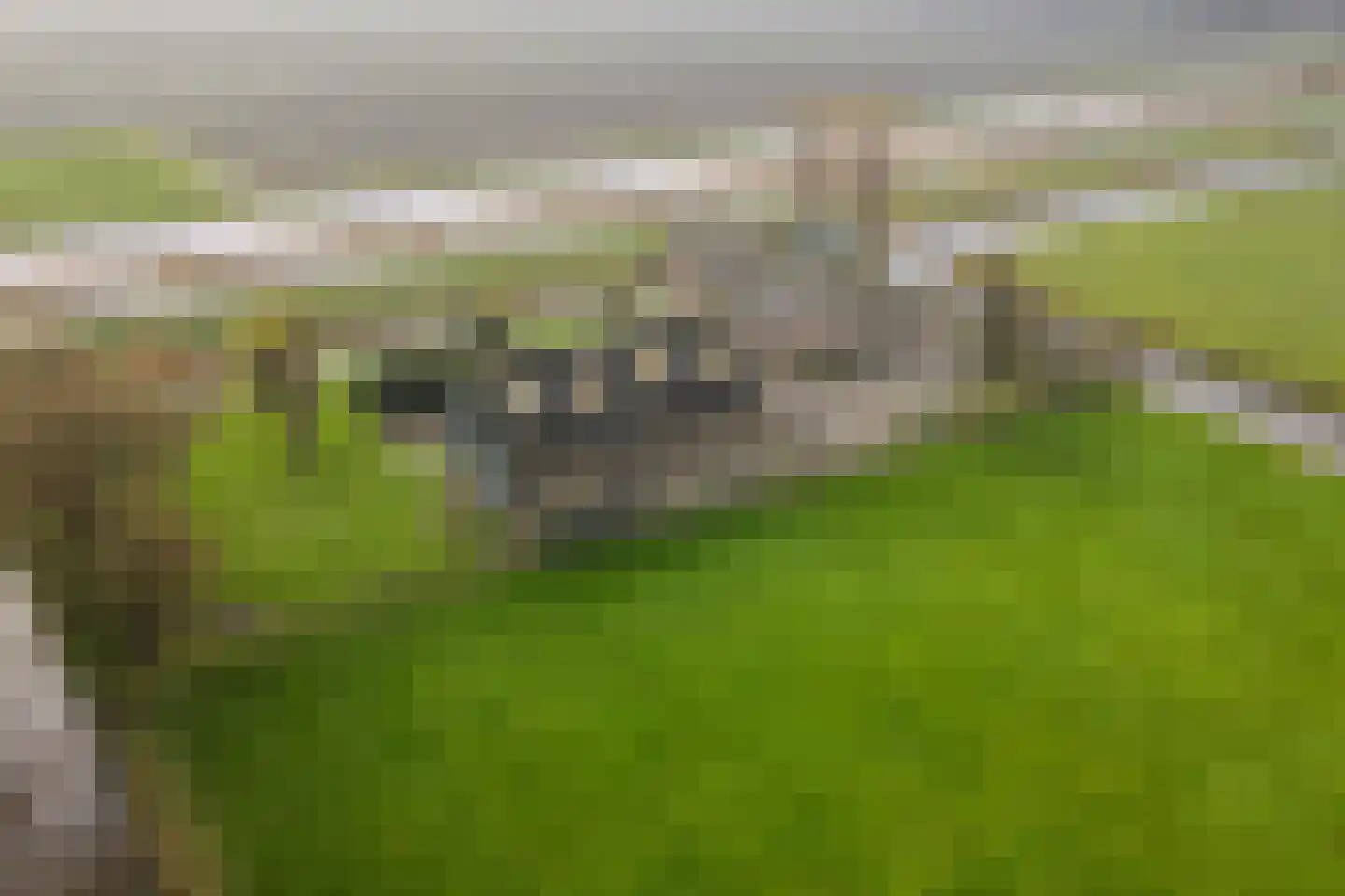 Laanweg 6 Zuidschermer thumbnail 44