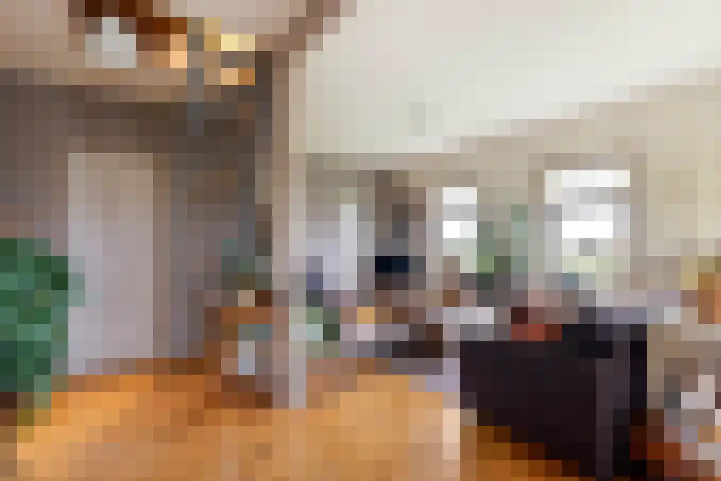 Laanweg 6 Zuidschermer thumbnail 6
