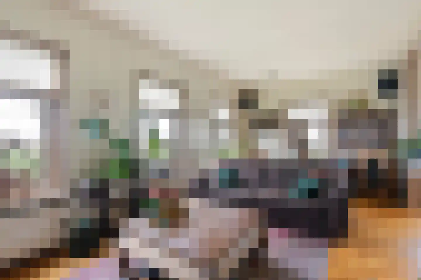 Laanweg 6 Zuidschermer thumbnail 7