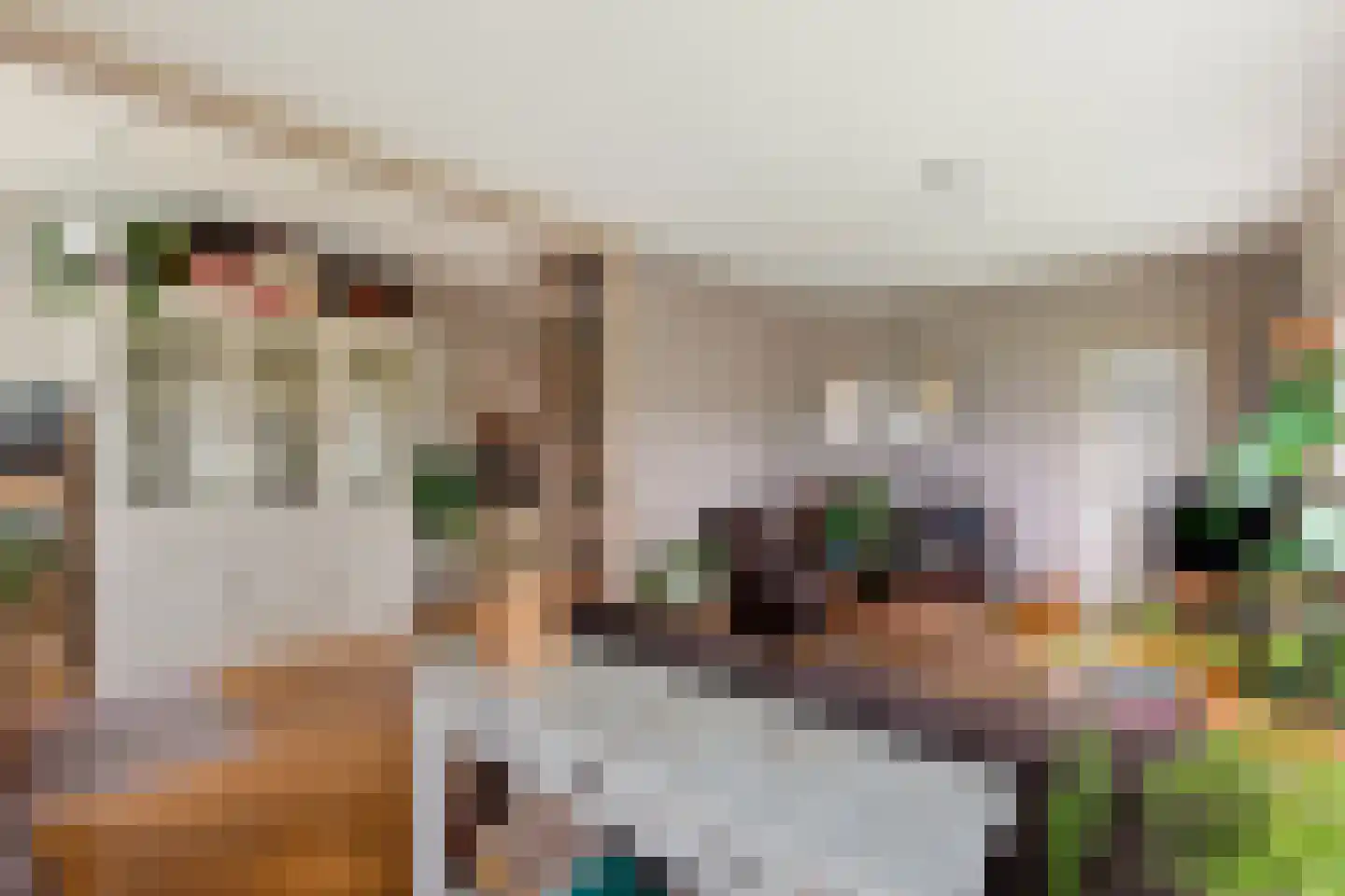 Laanweg 6 Zuidschermer thumbnail 9
