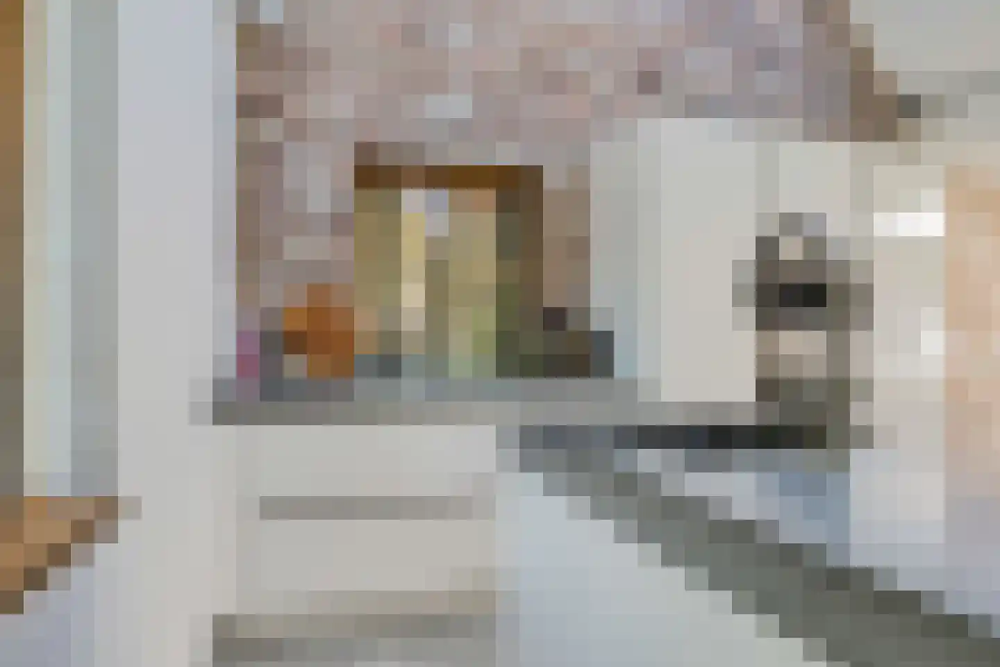 Laanweg 61 Schoorl thumbnail 10