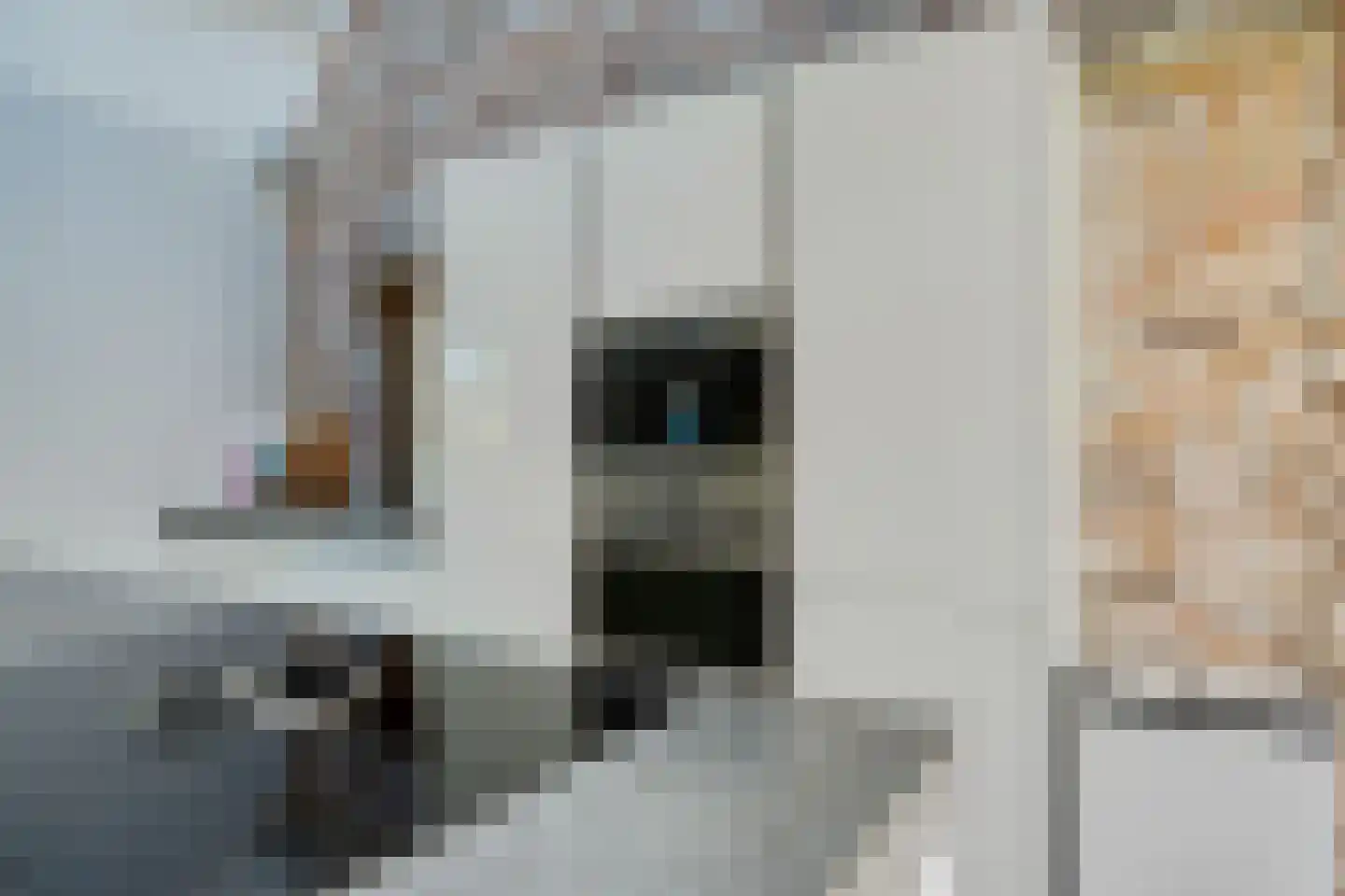Laanweg 61 Schoorl thumbnail 11