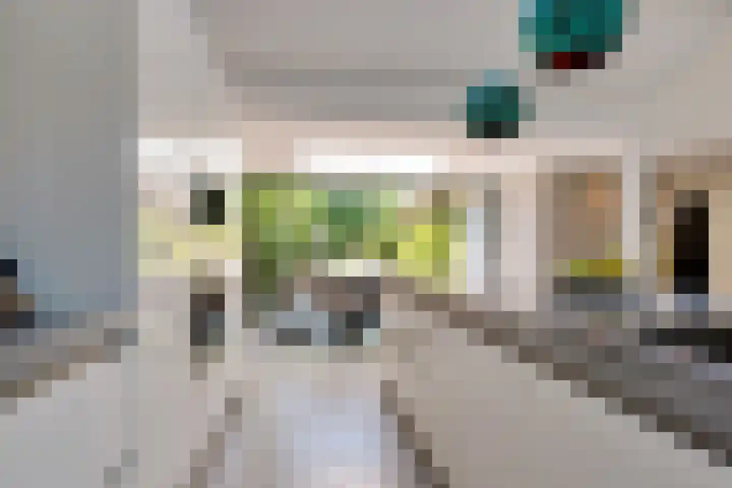 Laanweg 61 Schoorl thumbnail 12