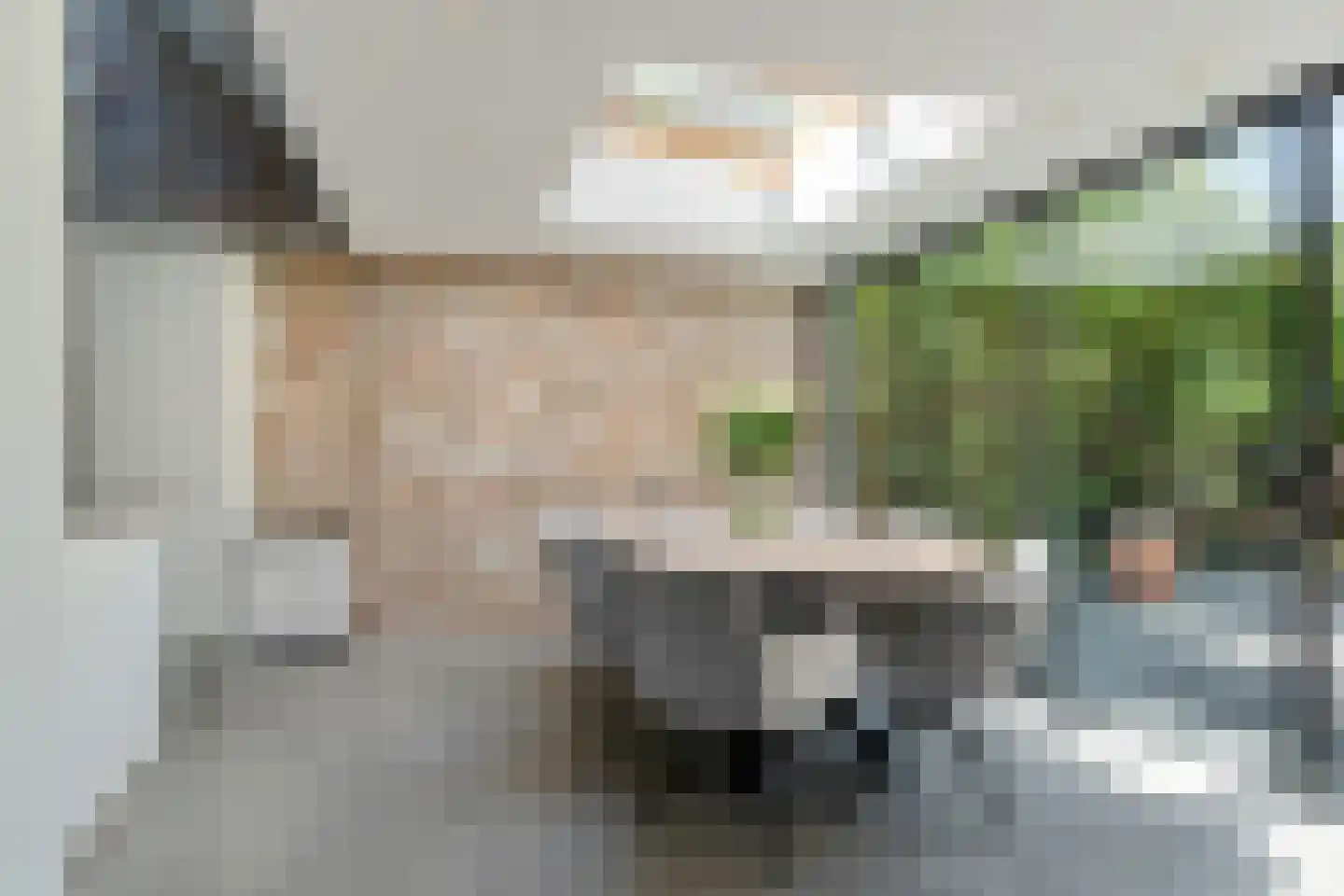 Laanweg 61 Schoorl thumbnail 13
