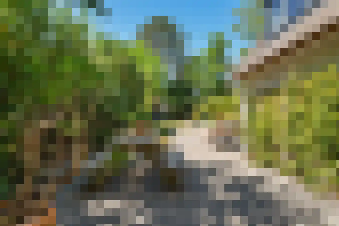 Laanweg 61 Schoorl thumbnail 18