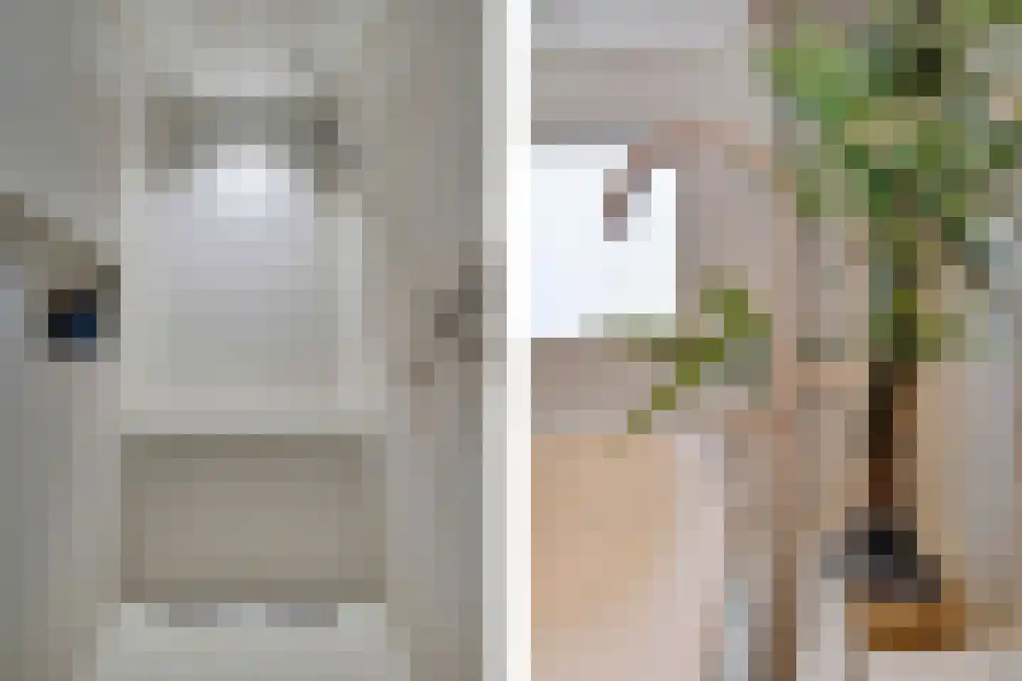 Laanweg 61 Schoorl thumbnail 28