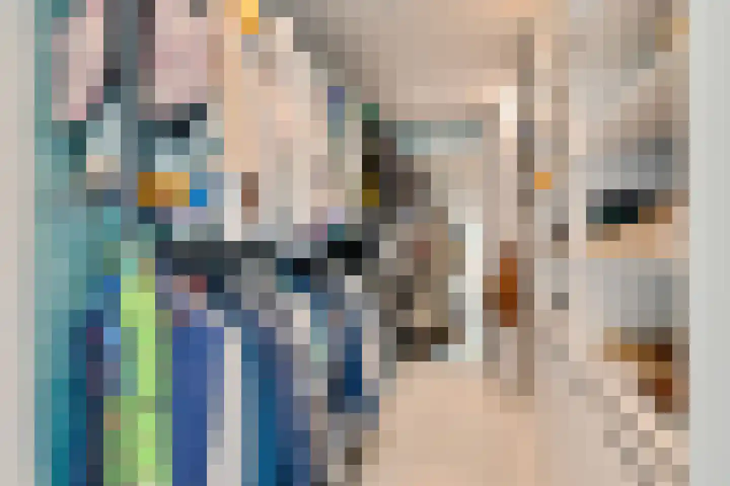 Laanweg 61 Schoorl thumbnail 30