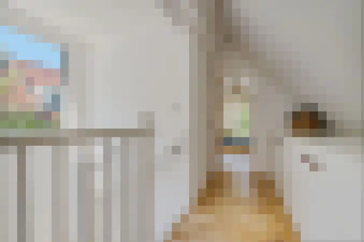 Laanweg 61 Schoorl thumbnail 31