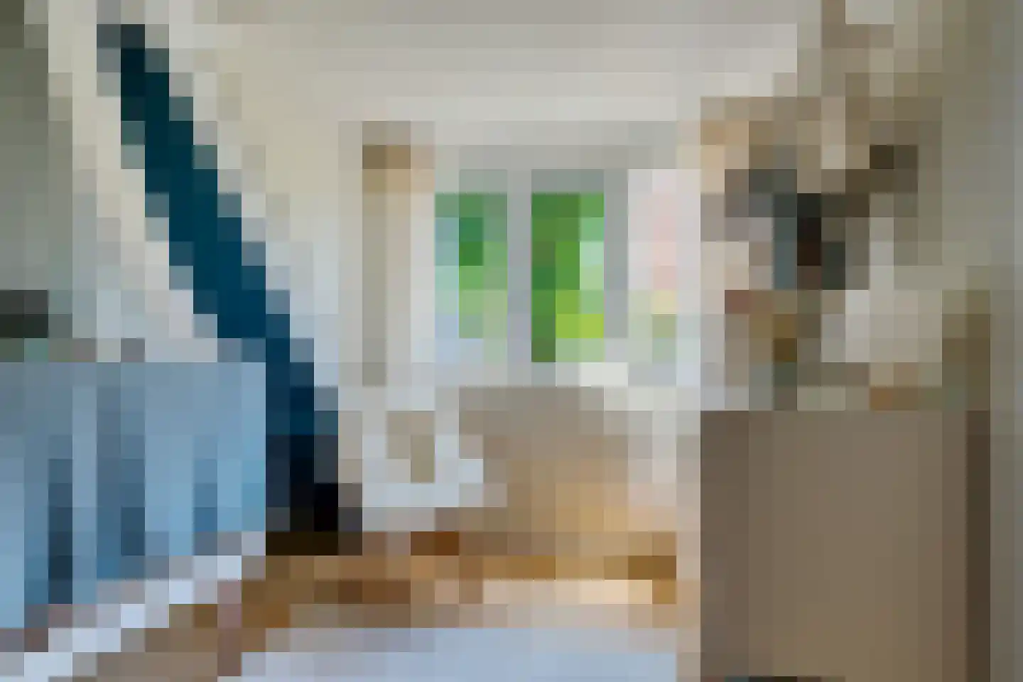 Laanweg 61 Schoorl thumbnail 34