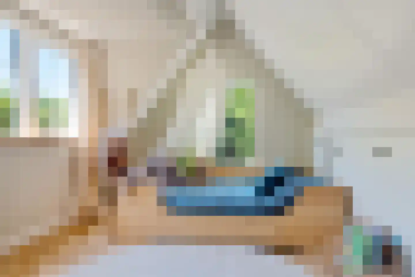 Laanweg 61 Schoorl thumbnail 38