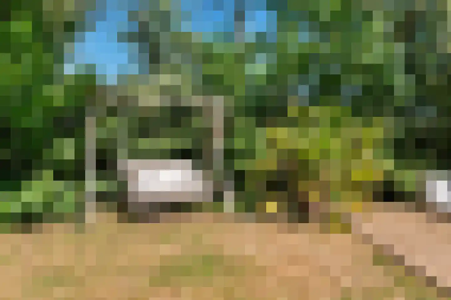 Laanweg 61 Schoorl thumbnail 44