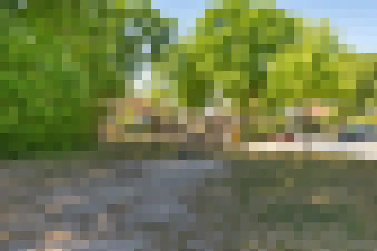 Laanweg 61 Schoorl thumbnail 47