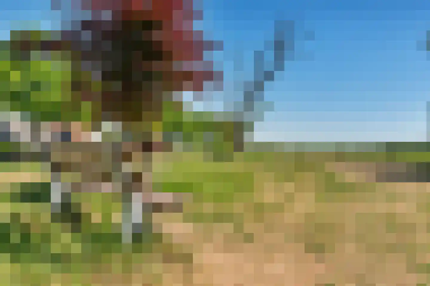 Laanweg 61 Schoorl thumbnail 49