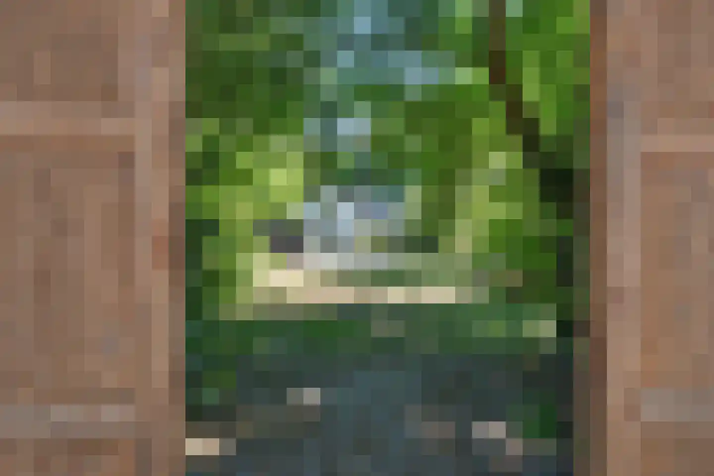 Laanweg 61 Schoorl thumbnail 50