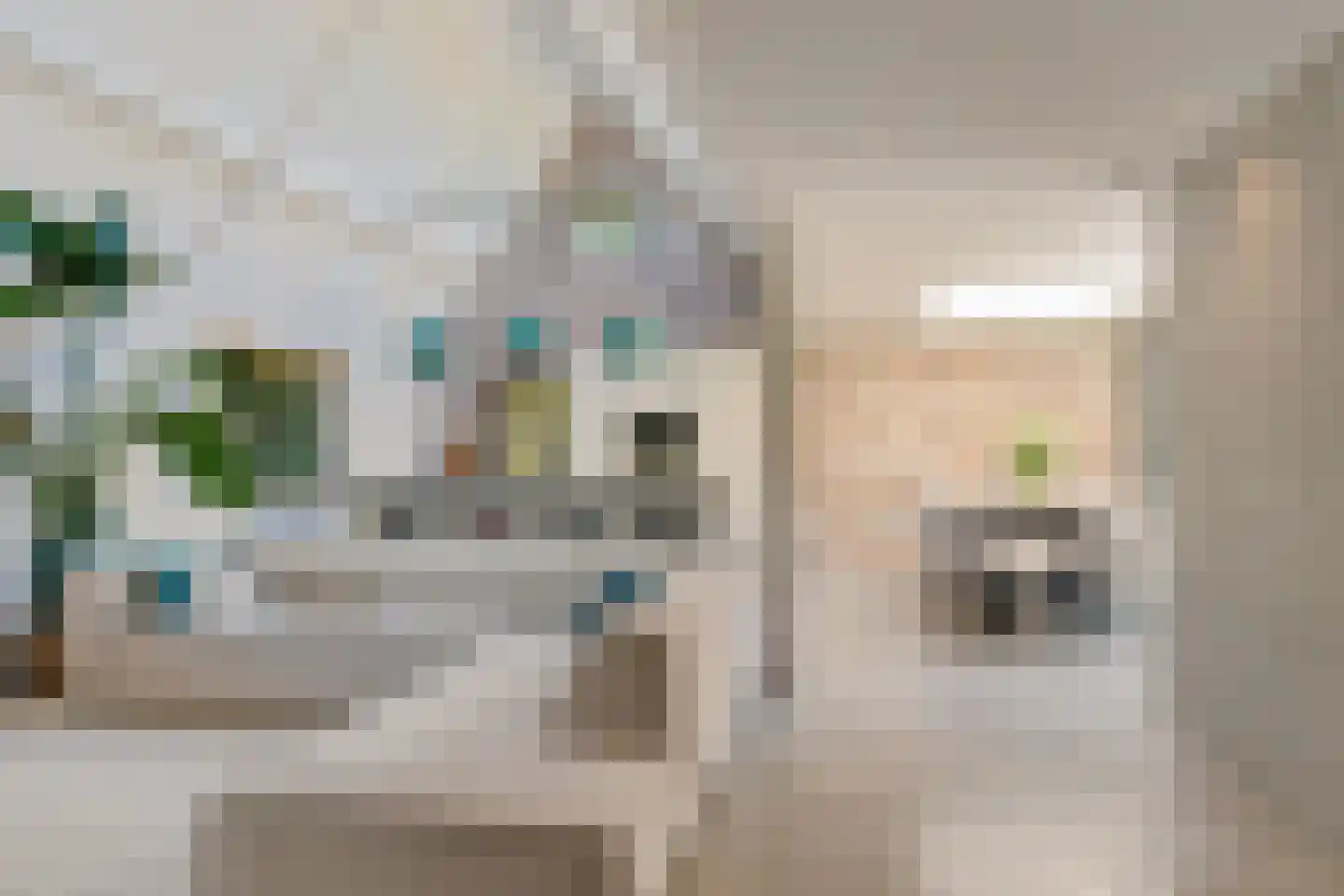 Laanweg 61 Schoorl thumbnail 6