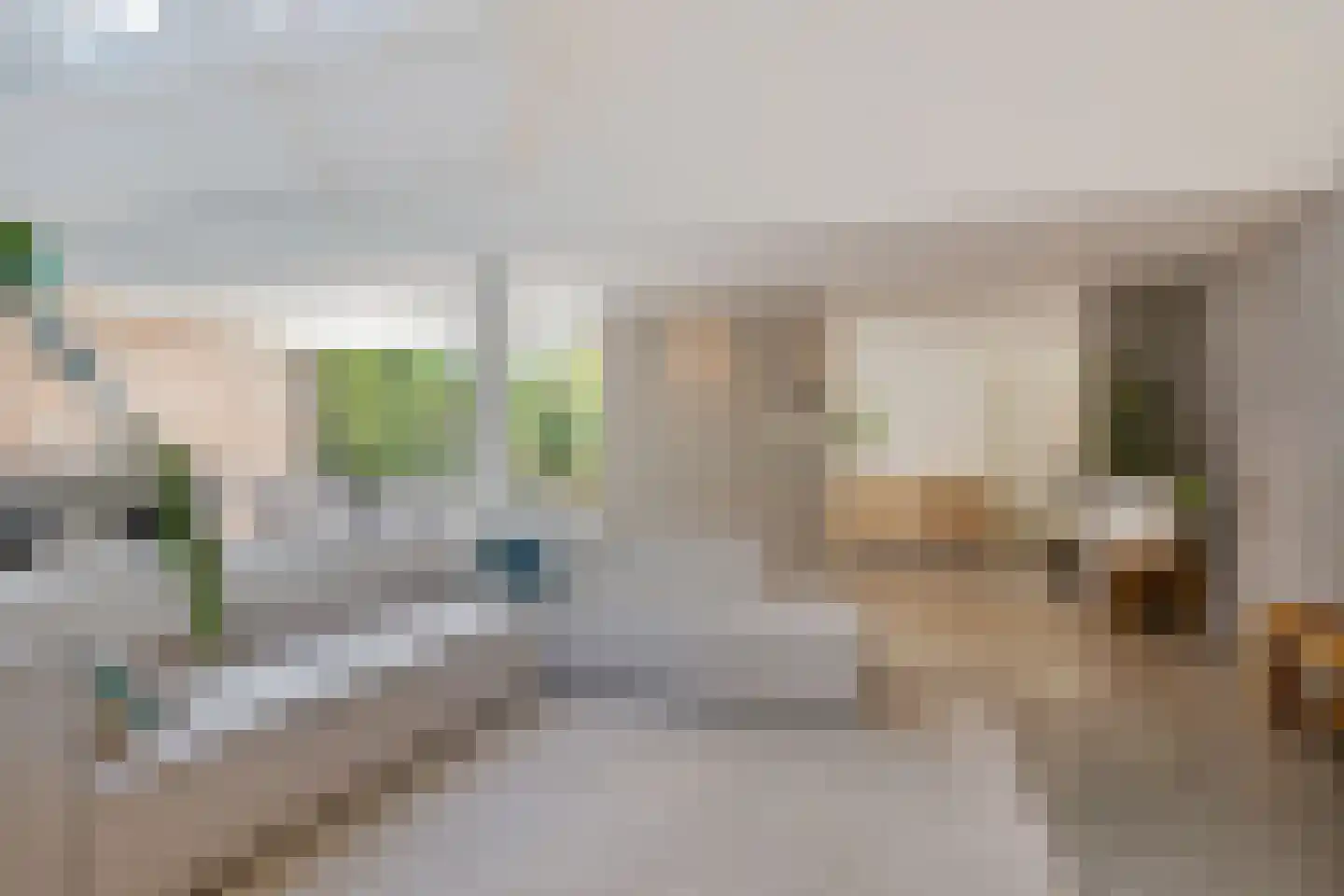 Laanweg 61 Schoorl thumbnail 7
