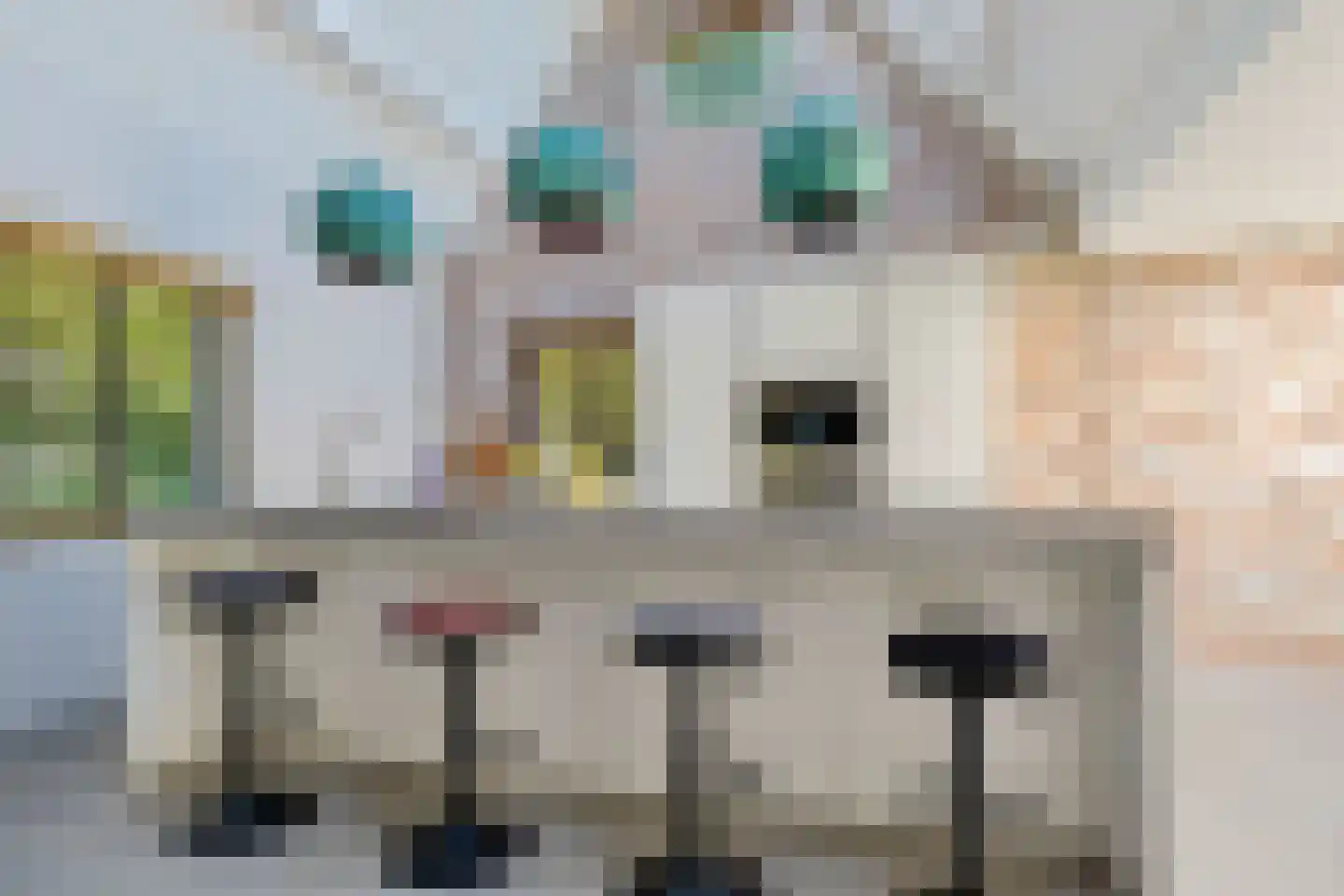 Laanweg 61 Schoorl thumbnail 8