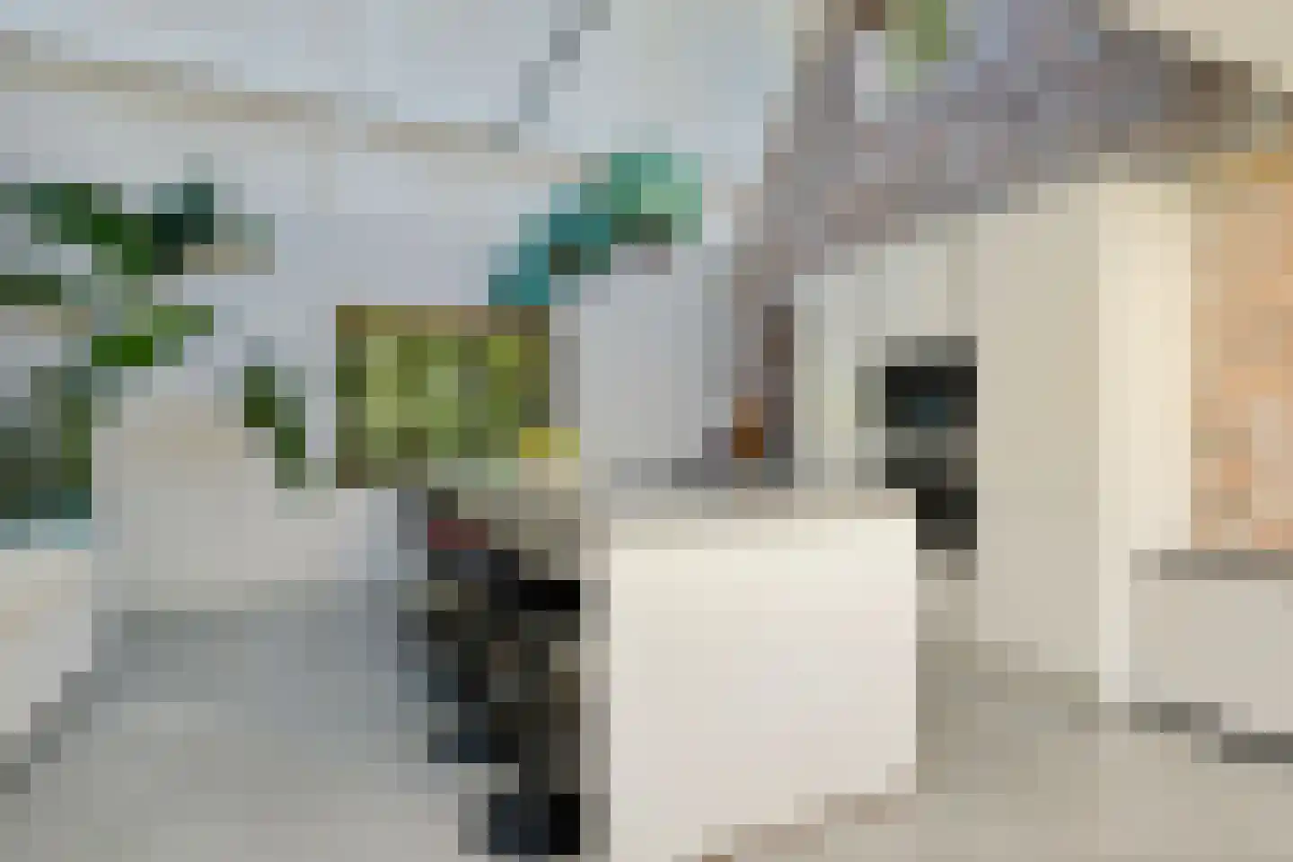 Laanweg 61 Schoorl thumbnail 9