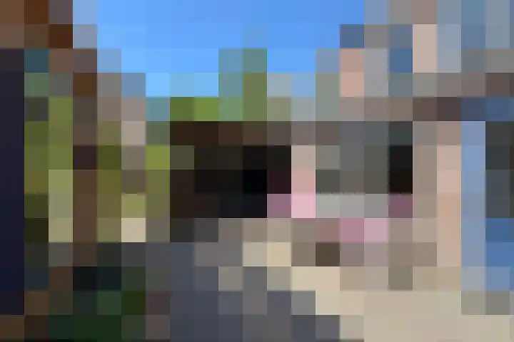 Laanzicht 10 Woudenberg thumbnail 27