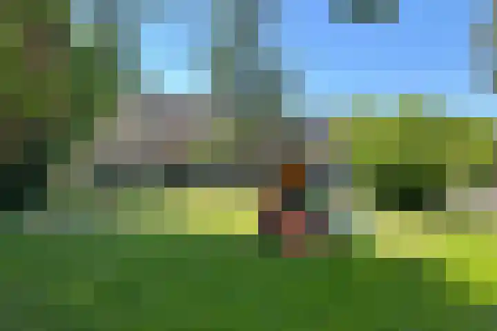 Laanzicht 10 Woudenberg thumbnail 39