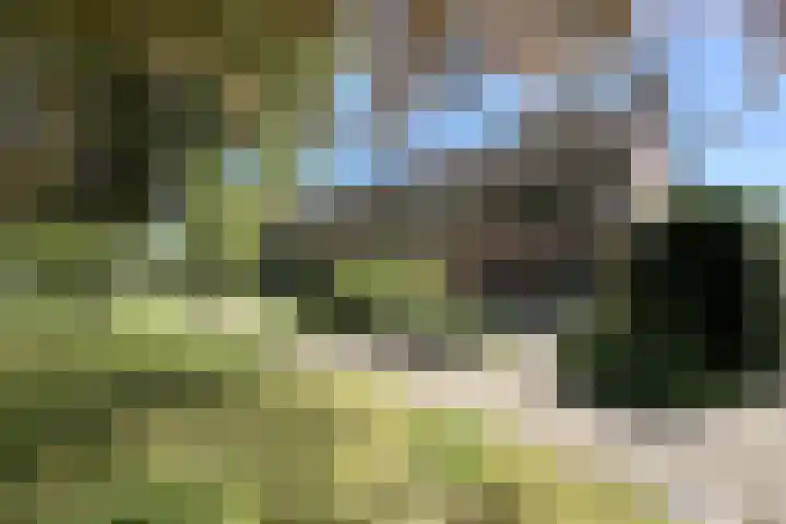 Laanzicht 10 Woudenberg thumbnail 56