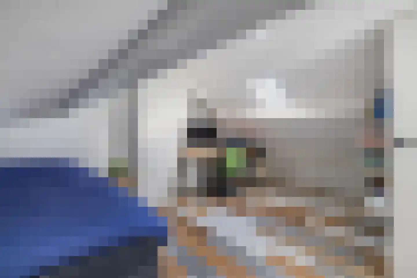 Laanzichtweg 6 Teteringen thumbnail 40
