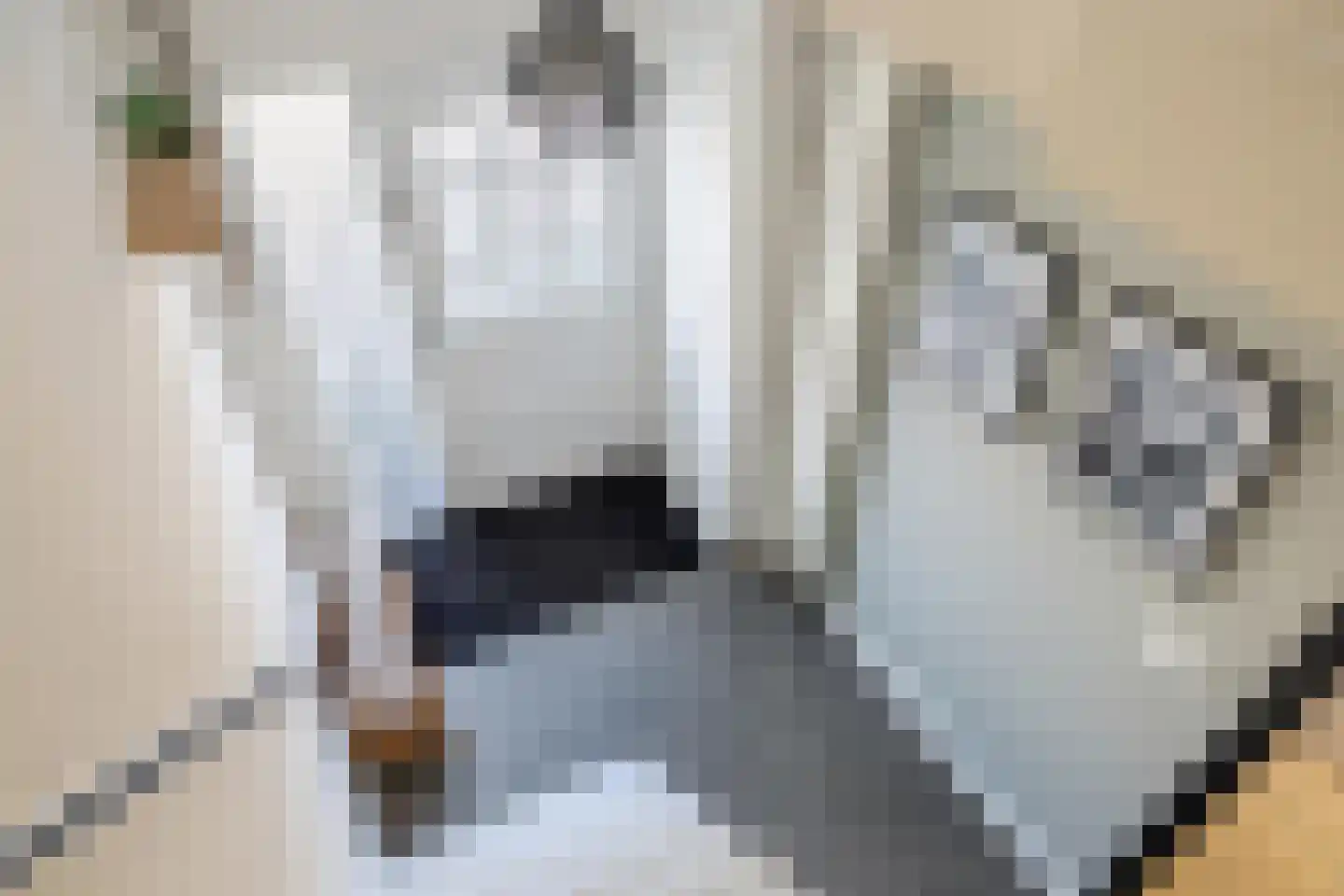 Laanzichtweg 6 Teteringen thumbnail 9