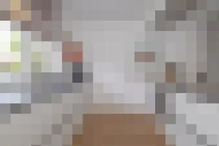 Laapersboog 14 Hilversum thumbnail 13