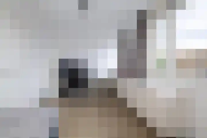 Laapersboog 14 Hilversum thumbnail 16