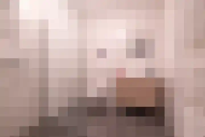 Laapersboog 14 Hilversum thumbnail 17
