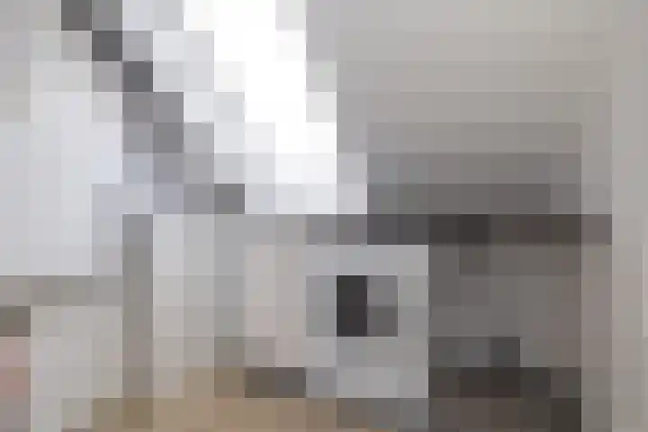 Laapersboog 14 Hilversum thumbnail 27