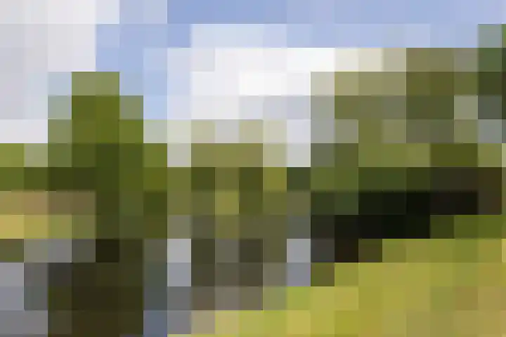 Laapersboog 14 Hilversum thumbnail 37