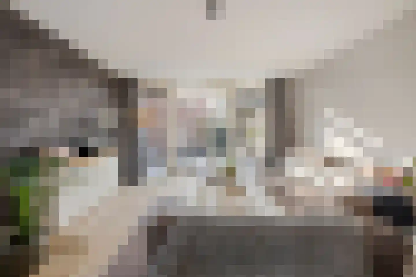 Laapersboog 32 Hilversum thumbnail 15
