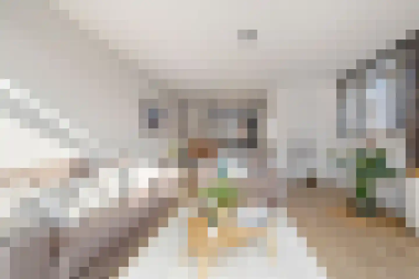 Laapersboog 32 Hilversum thumbnail 16