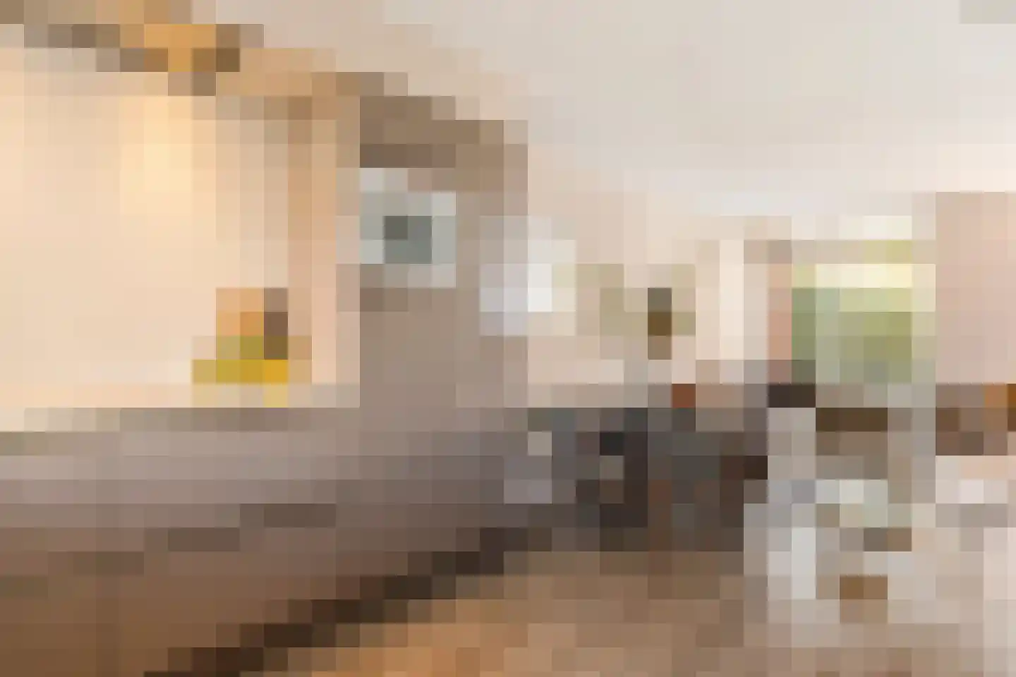 Laapersboog 38 Hilversum thumbnail 16