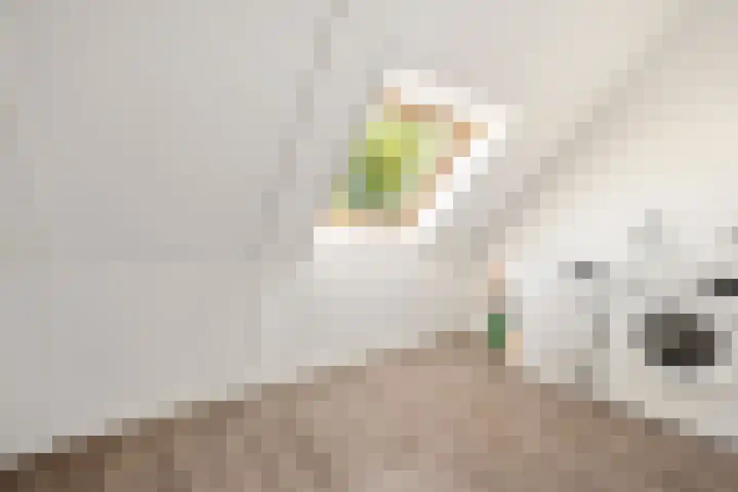 Laapersboog 38 Hilversum thumbnail 30