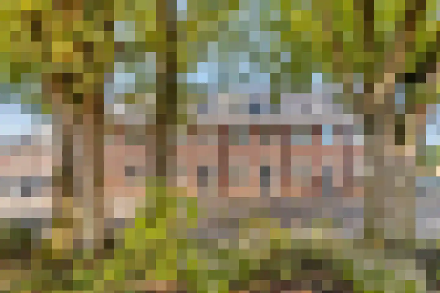 Laapersboog 38 Hilversum thumbnail 41