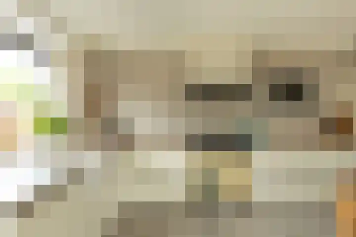 Laapersboog 4 Hilversum thumbnail 10